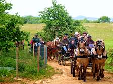 Groep familie wandelen paardrijden bij gites vakantiepark in Dordogne Lot Gavaudun