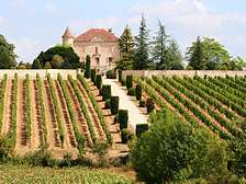 Boerderijen en wijngaarden in de Dordogne Lot et Garonne: gites vakantiepark in Gavaudun