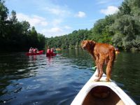 Canoe_vacances_Perigord_Gavaudun_37