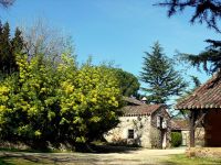 Holidays_gites_rental_Dordogne_Gavaudun_080